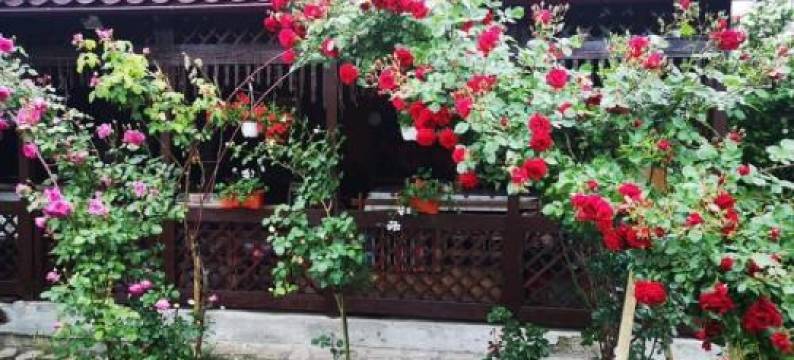 Pensiunea Cassandra图片