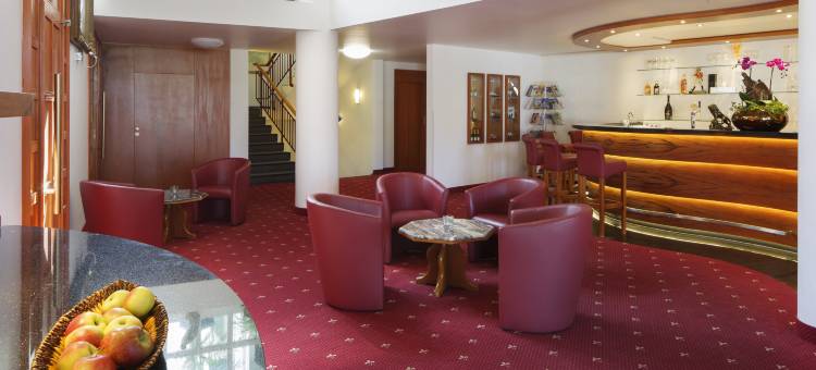 茵维特洛文弗赖堡酒店(Hotel Schwärs Löwen Freiburg)图片