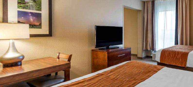 舒适酒店麦迪逊 靠近克利夫提瀑布(Comfort Inn)图片