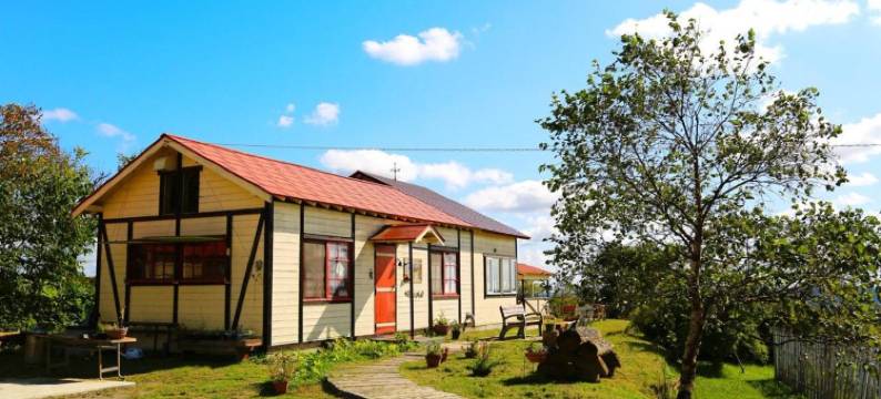 Heartn树旅馆(Guest House Heartn Tree)图片