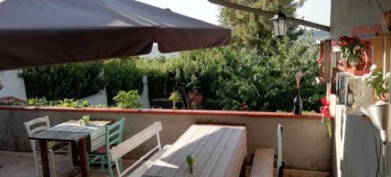 安东尼亚拉波罗住宿加早餐旅馆(B&B l'Albero di Antonia)图片