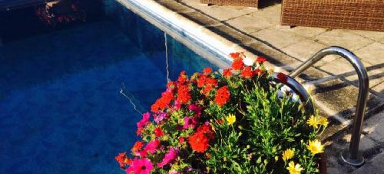 德布利亚里斯城堡 - 查柏里德酒店(Château de Briailles - Chambre d'hôtes)图片