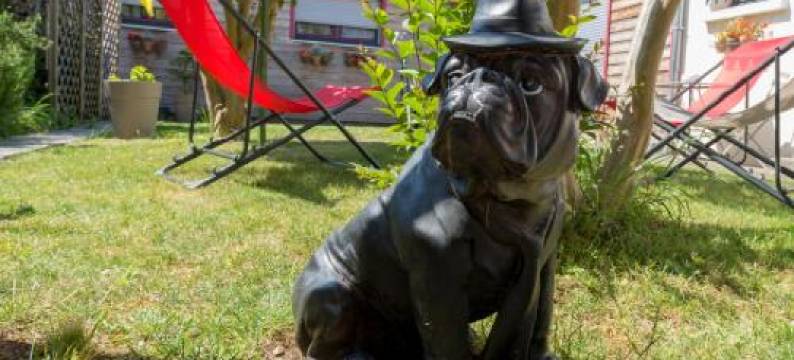 埃斯卡莱马兰库埃特咖啡厅酒店(L'Escale Marine - Couette et Café)图片