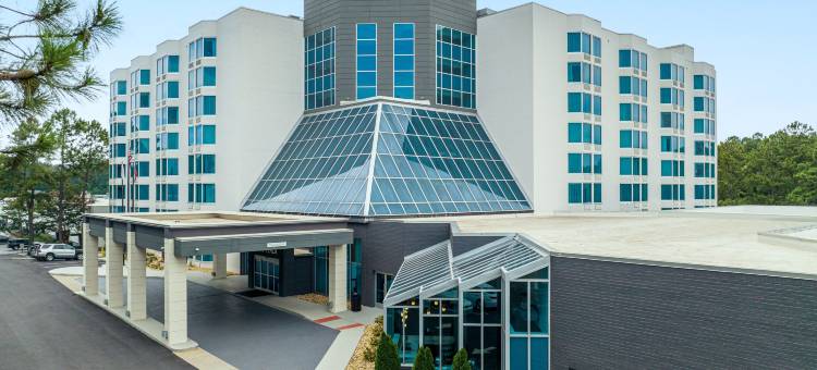 Crowne Plaza 亚特兰大桃树角(Crowne Plaza ATLANTA NE - NORCROSS by IHG)图片