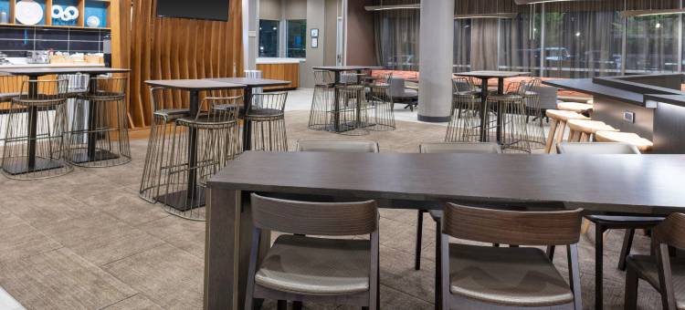 亚特兰大阿尔普哈雷塔/罗斯威尔万豪SpringHill Suites酒店(SpringHill Suites Atlanta Alpharetta/Roswell)图片