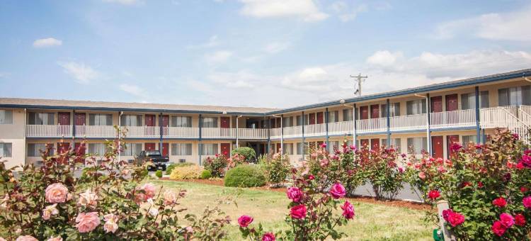 罗德威酒店(Rodeway Inn)图片