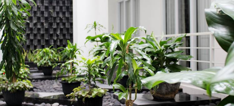 布罗莫公园酒店(Bromo Park Hotel Probolinggo)图片