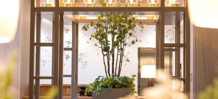 京都四条河原町 FORZA 酒店(Hotel Forza Kyoto Shijo Kawaramachi)图片