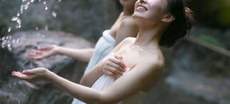 宝泉寺温泉 龙泉阁(Hotel Ryusenkaku)图片