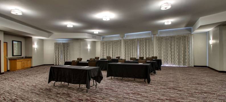 阿尔伯克基北德鲁里套房酒店(Drury Inn & Suites Albuquerque North)图片