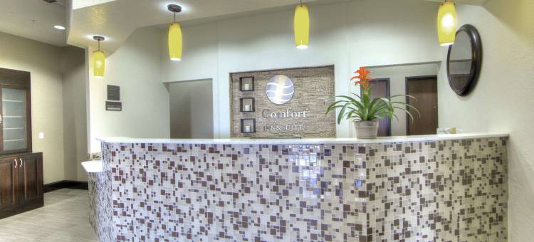 沃斯堡西I-30 NAS JRB的舒适酒店及套房(Comfort Inn & Suites Fort Worth West I-30 Nas JRB)图片