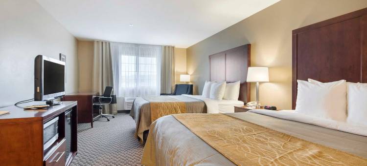 舒适酒店-奥本西雅图(Comfort Inn Auburn - Seattle)图片