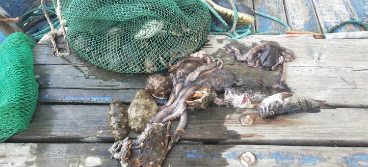 很忙公寓(千山路分店)图片