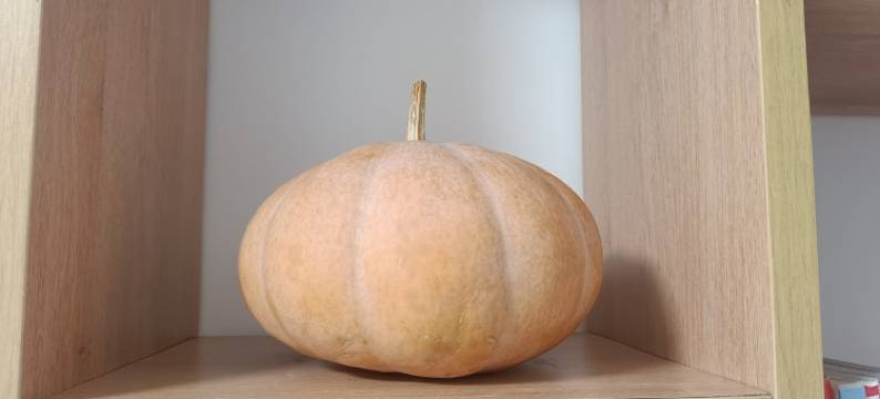 太原街夜市民宿(集贤街分店)图片