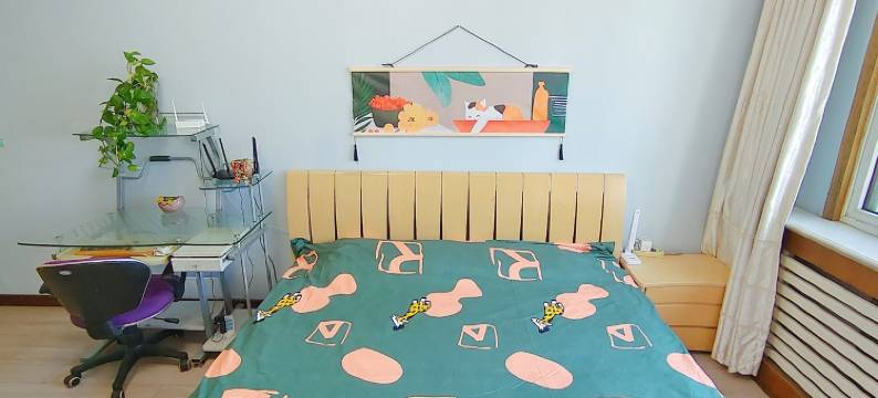 房东凡雪公寓(衡阳路分店)图片