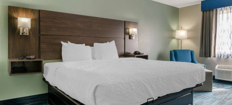 贝斯特韦斯特克莱尔酒店(Best Western Clare Hotel)图片