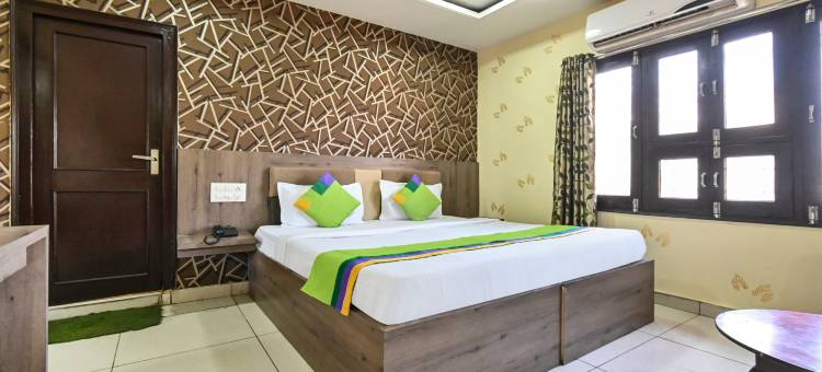 Treebo Siddharth图片