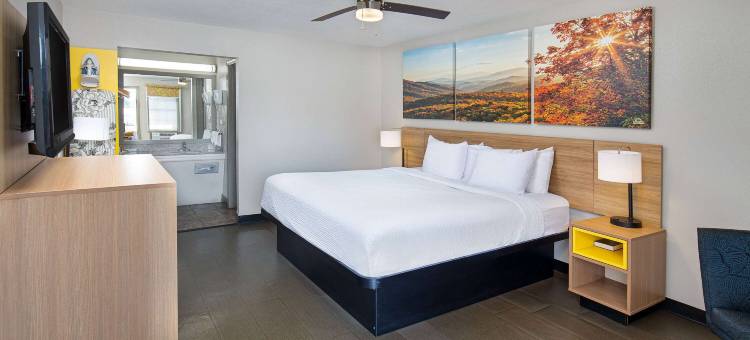 霍拉迪温德姆戴斯酒店(Days Inn by Wyndham Holladay)图片