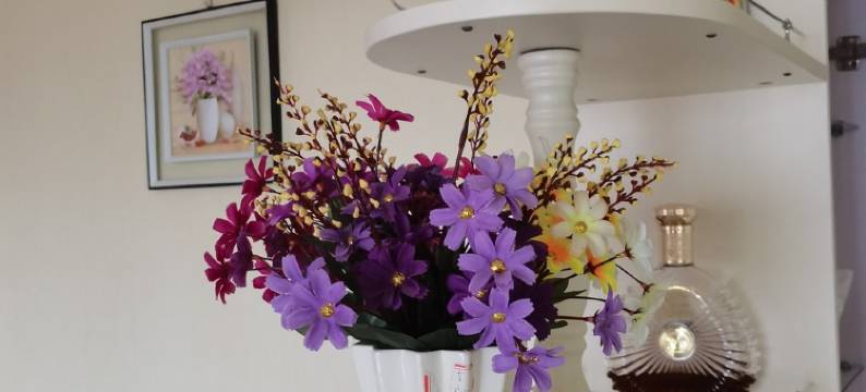 好大叔的民宿(学子街分店)图片