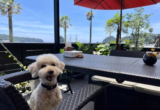 Kazemachi Onjuku Raimuya Hotel Overview