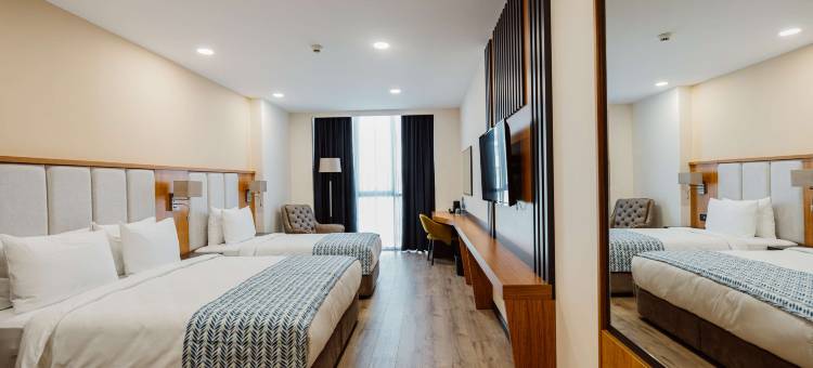 巴统贝斯特韦斯特优质酒店(Best Western Plus Batumi)图片