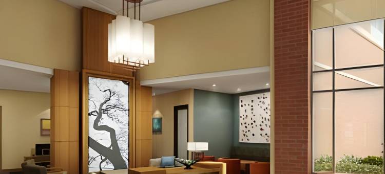 底特律/诺维凯悦嘉轩酒店(Hyatt Place Detroit/Novi)图片