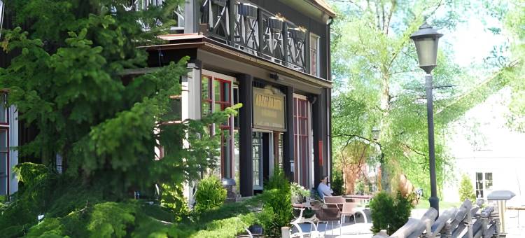 阿若格登酒店(Hotel Åregården)图片
