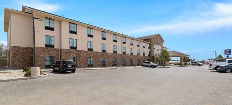 舒适套房酒店(Comfort Inn & Suites)图片