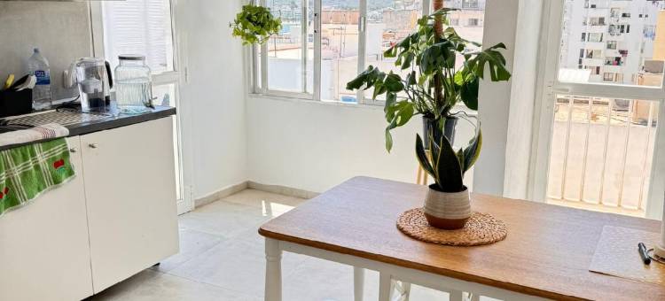 西斯内巢旅舍(Cisne Hostal by Nest)图片