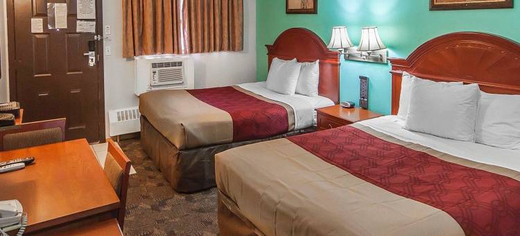 德拉姆赫勒套房伊克诺旅馆(Econo Lodge Inn & Suites Drumheller)图片