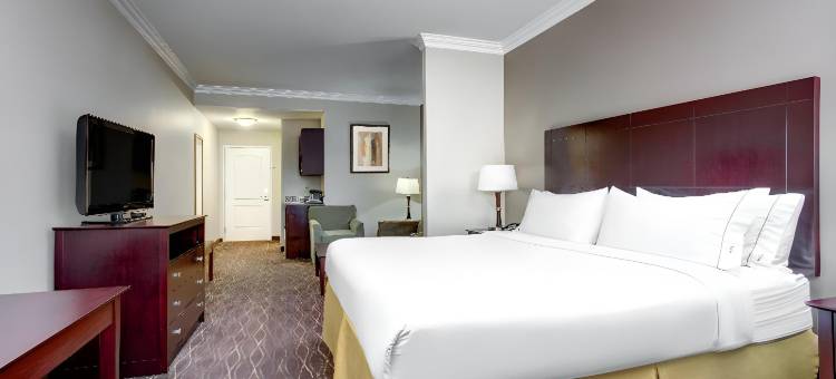 加利亚诺智选假日套房酒店(Holiday Inn Express & Suites Cut Off - Galliano)图片