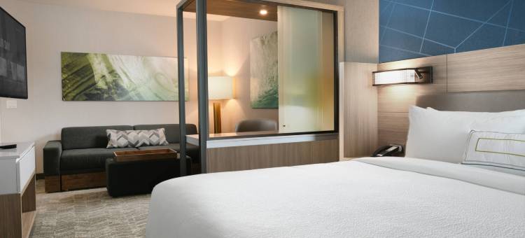 达拉斯DFW机场南中心港万豪SpringHill Suites酒店(SpringHill Suites Dallas DFW Airport South/CentrePort)图片