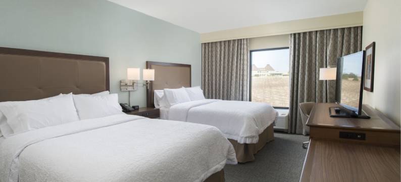 布拉塞尔顿欢朋酒店(Hampton Inn & Suites Braselton)图片