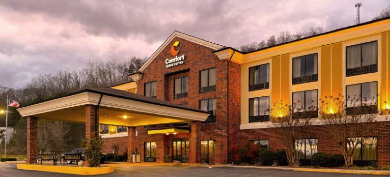 舒适酒店及套房罗杰斯维尔(Comfort Inn & Suites)图片