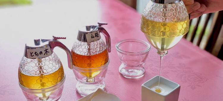 河畔Inn Beehive(Lake Side Inn Beehive)图片