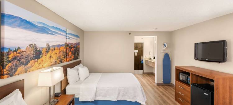 罗利机场三角研究园戴斯酒店(Days Inn by Wyndham Raleigh-Airport)图片