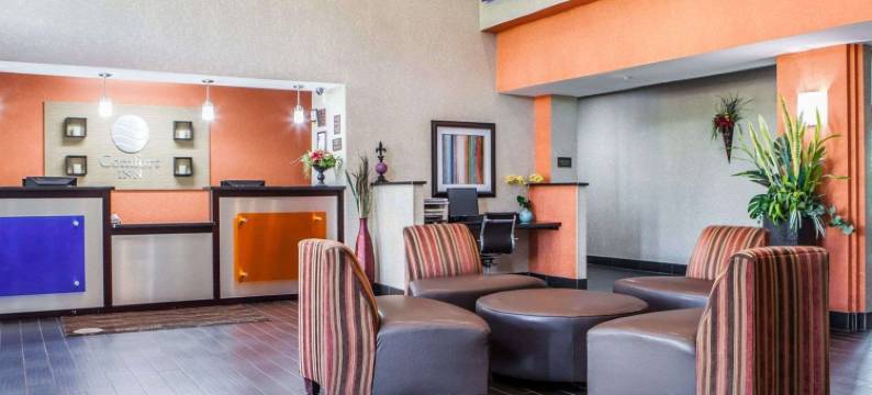 舒适酒店-利斯萨米特50号及291号高速公路(Comfort Inn Lees Summit - Hwy 50 & Hwy 291)图片