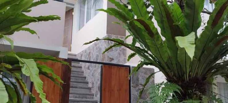 Teras Padi Garut图片