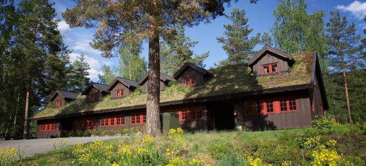 哈夫吉尔胡德佛森公寓酒店(Hunderfossen Leiligheter Hafjell)图片