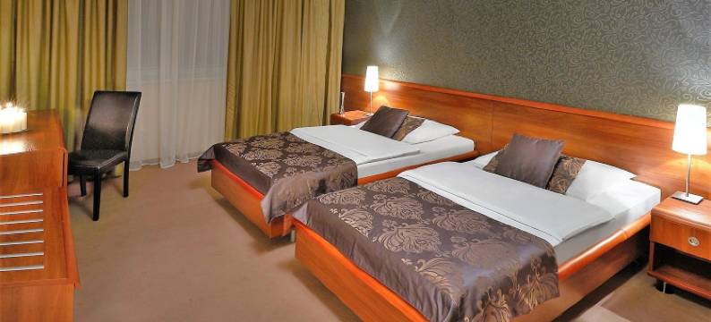 森泰瑞酒店(Hotel Centrum Nitra Garni Hotel with Free Parking)图片