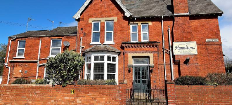 汉密尔顿(Hamilton)图片