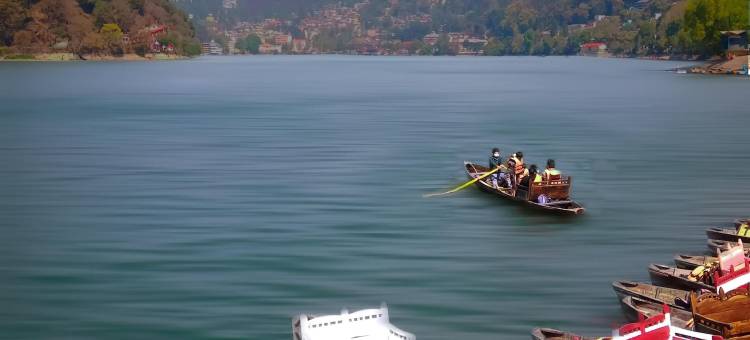 生活之树Junoon山中(Tree of Life Junoon in the Hills)图片