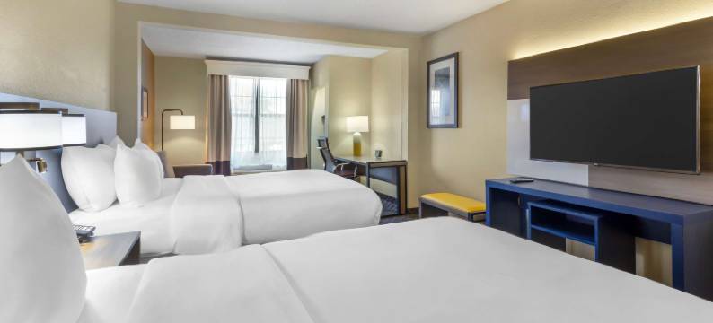 哈尼斯商场舒适套房酒店(Comfort Suites Hanes Mall)图片