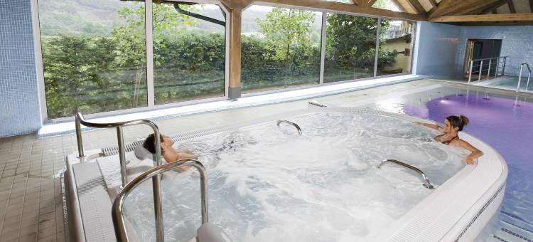 帕西拉温泉别墅公寓(Apartamentos Spa Villa Pasiega)图片