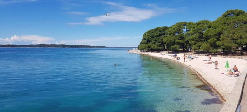 舒适公寓，共享泳池(Cozy apartment with shared pool)图片