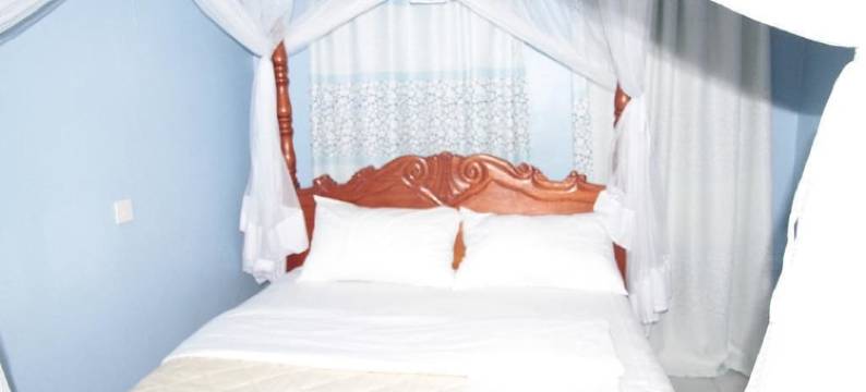 Don酒店(The Don Hotel)图片