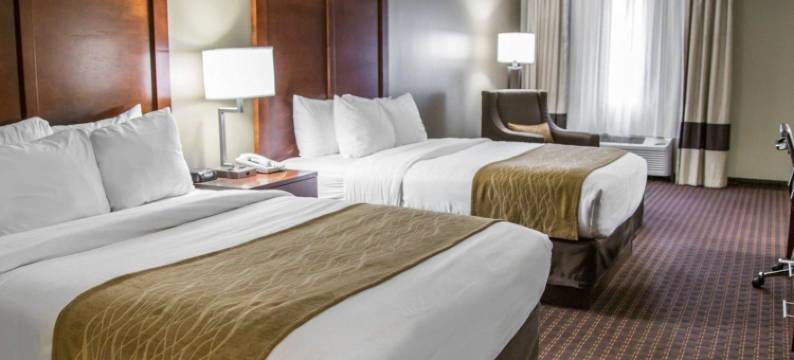 河景舒适套房酒店(Comfort Inn & Suites Riverview Near Davenport and I-80)图片