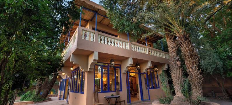 棕榈树 - 生态小屋旅馆(Ecolodge la Palmeraie)图片