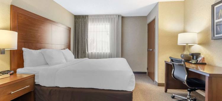 机场会议中心舒适套房酒店(Comfort Inn & Suites Airport Convention Center)图片