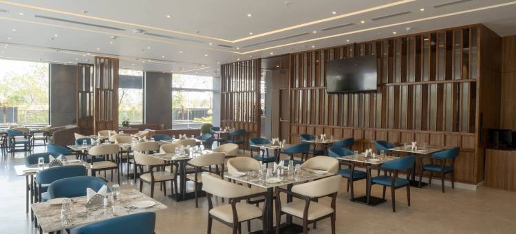浦那查坎MIDC君主酒店(The Monarch at Chakan Midc, Pune)图片